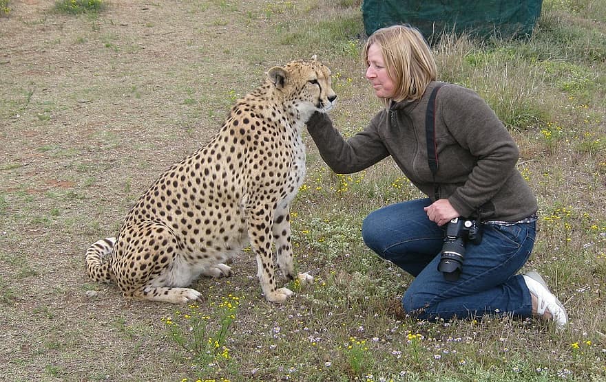 Vista lateral de una mujer acariciando un guepardo