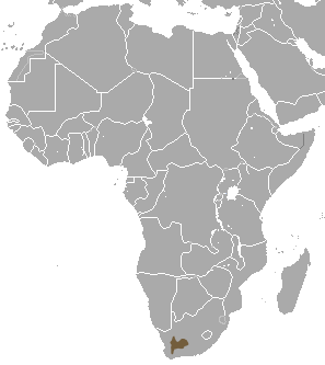 Vista de un mapa de África gris que muestra con una leyenda marrón la distribución del Conejo Ribereño