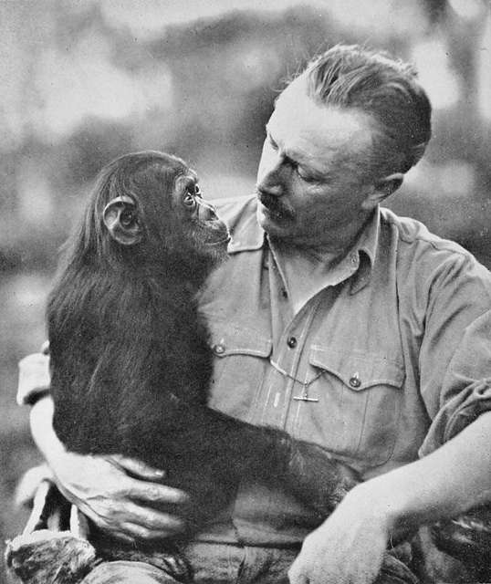 Foto en blanco y negro del investigador Cherry Kearton mirando al famoso chimpancé Toto