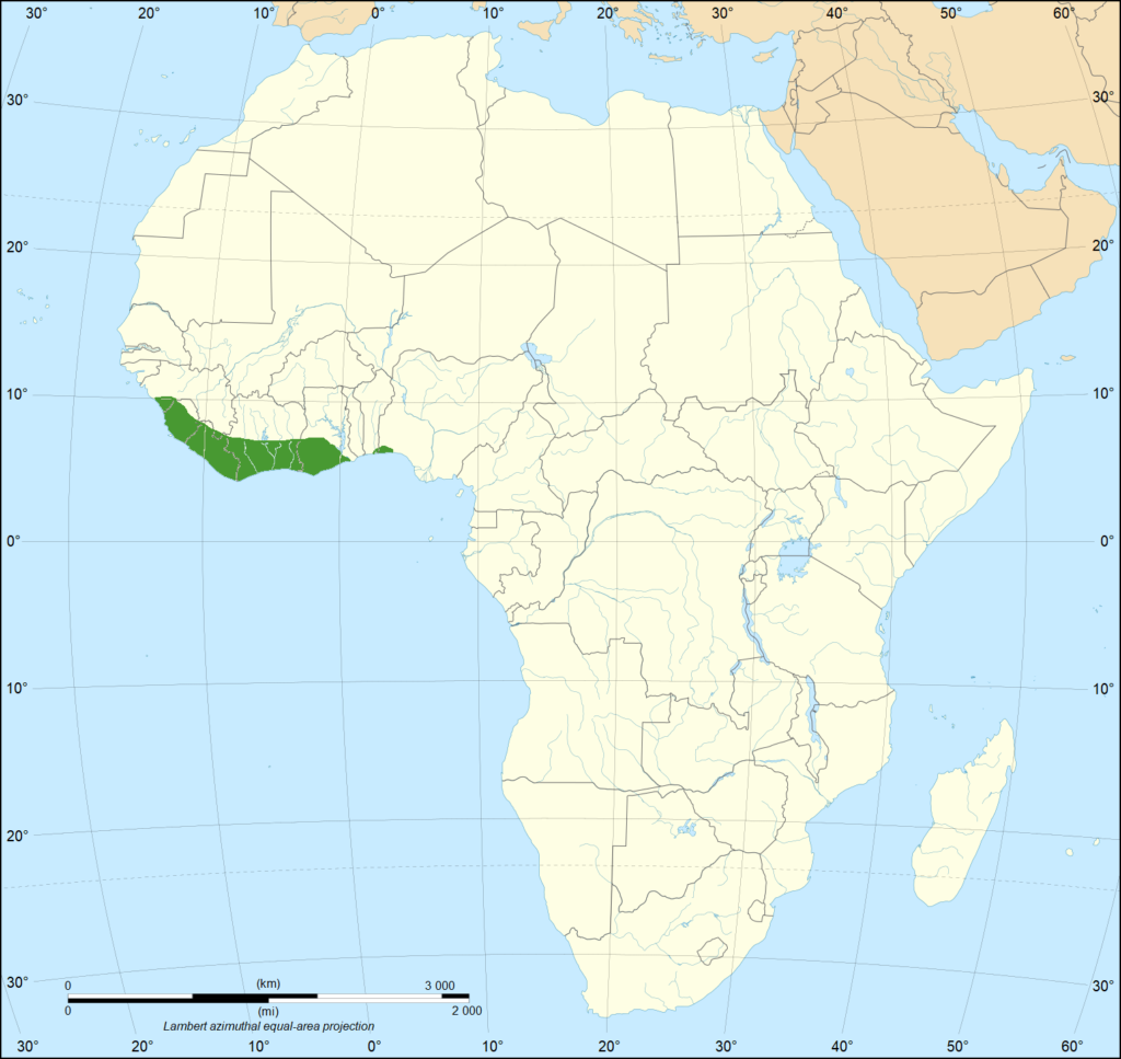 Mapa que muestra la distribución de la mamba verde occidental en África