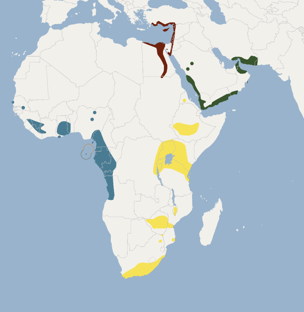 Vista de un mapa de África y Asia donde se muestra la distribución del murciélago egipcio de la fruta
