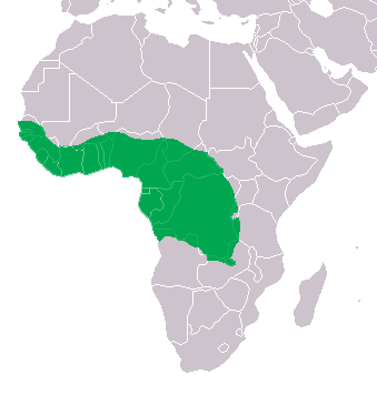 Mapa que muestra en verde la distribución del crocodylus cataphractus en África