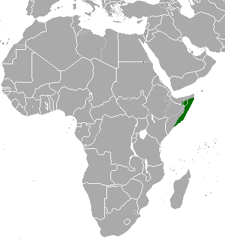 Mapa que muestra destacado en verde sobre fondo gris la distribución de la gacela speke en África