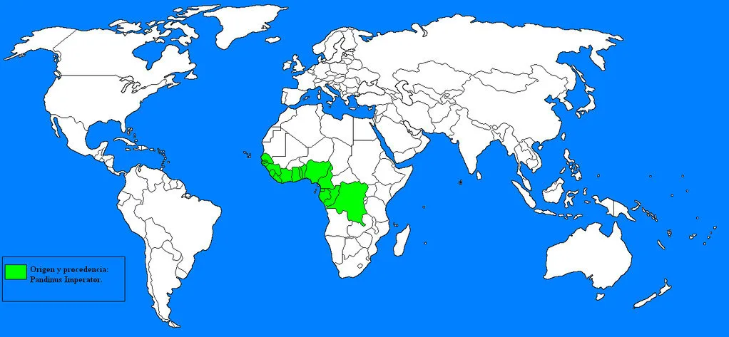 Vista frontal de un mapa que muestra la distribución del escorpión emperador en África