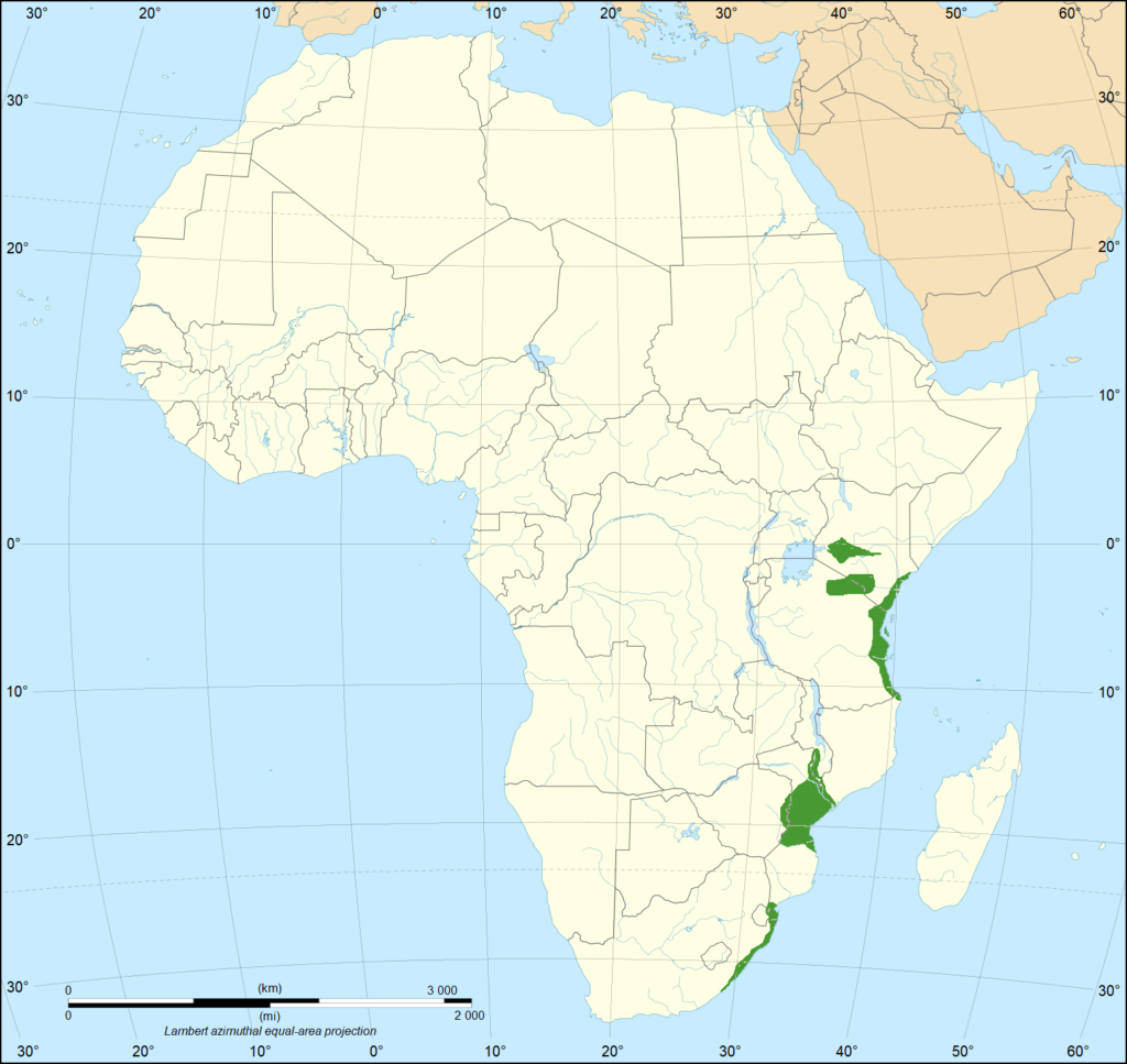 Vista de un mapa de África amarillo que muestra en leyenda verde la distribución de la mamba verde oriental