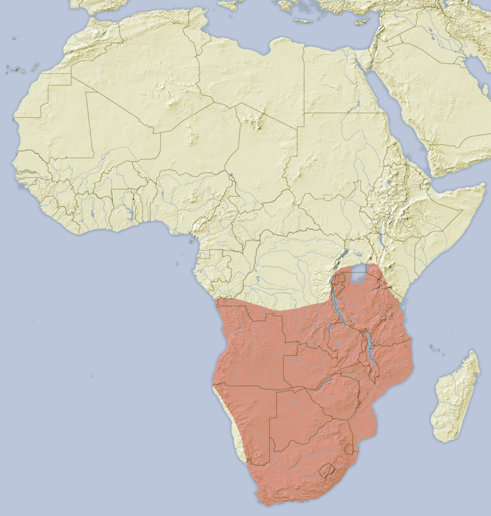 Mapa de África que marca la distribución del Puercoespín del Cabo en el continente con una leyenda roja