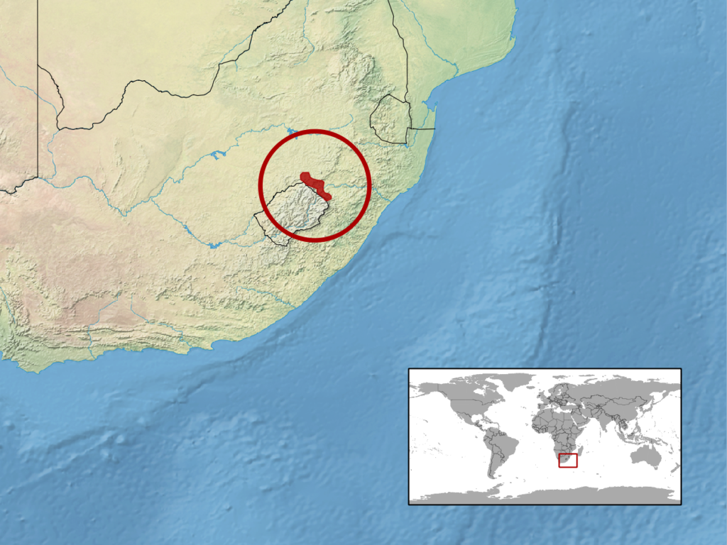 Vista de la parte inferior de un mapa de África que señala con un círculo rojo la distribución del camaleón de Drakensberg