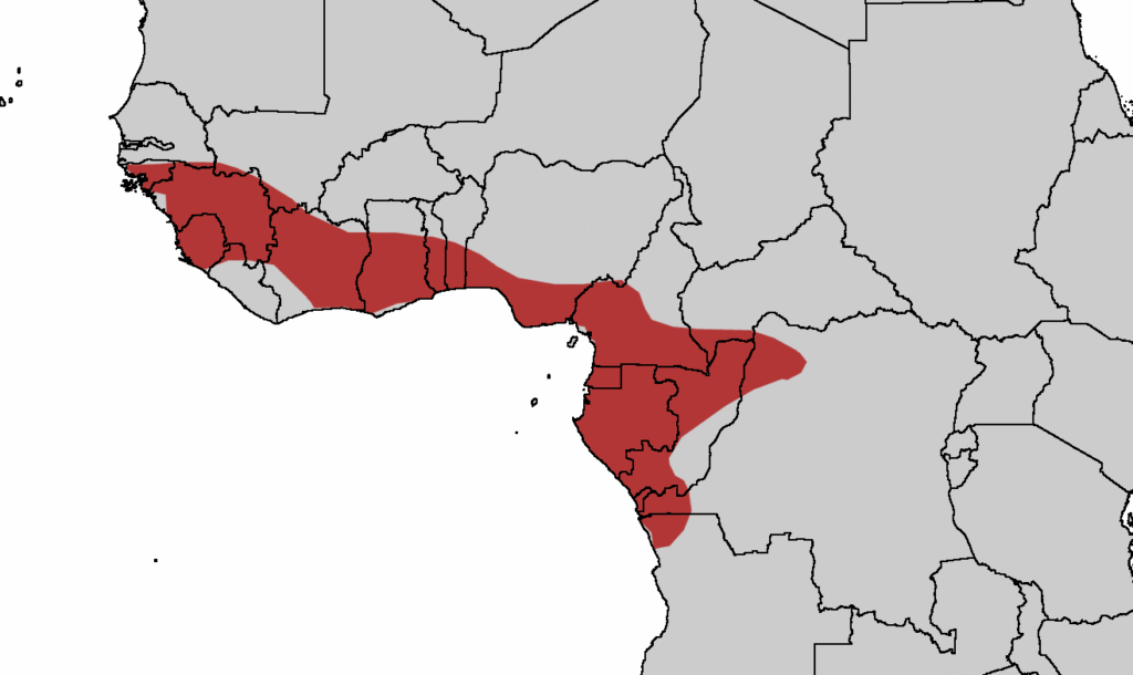 Mapa de África que muestra en una leyenda en rojo de la distribución del turaco persa